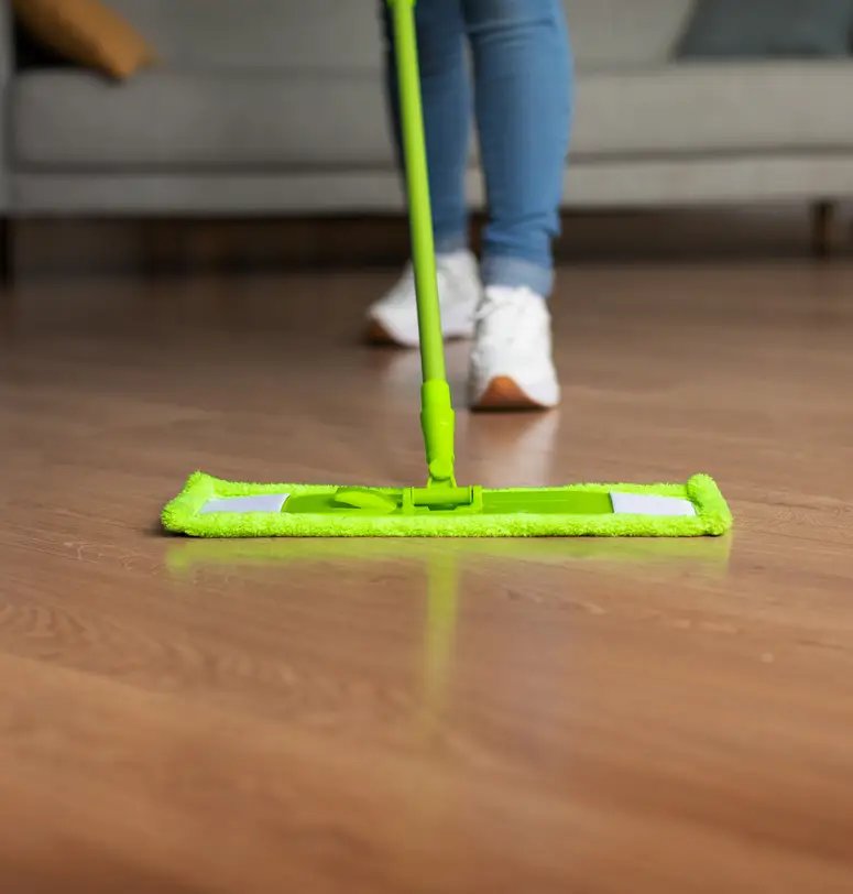 Professional Cleaning Services Professional Cleaning Services